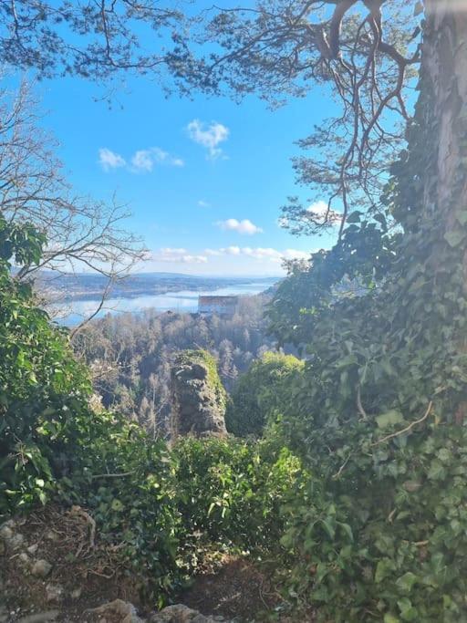 Charismatisch Und Gemuetlich In Guettingen, Nah Zum Buchensee Und Bodensee, Tolle Lage رادولفزيل ام بوندنز المظهر الخارجي الصورة