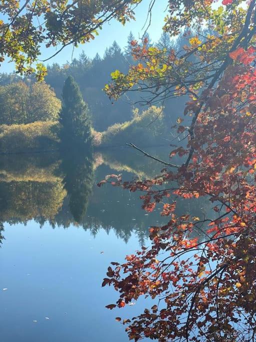 Charismatisch Und Gemuetlich In Guettingen, Nah Zum Buchensee Und Bodensee, Tolle Lage رادولفزيل ام بوندنز المظهر الخارجي الصورة