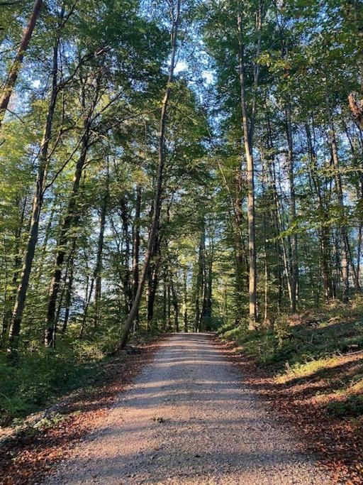 Charismatisch Und Gemuetlich In Guettingen, Nah Zum Buchensee Und Bodensee, Tolle Lage رادولفزيل ام بوندنز المظهر الخارجي الصورة